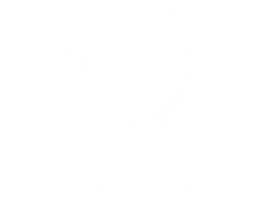 Best Chat Team 2024